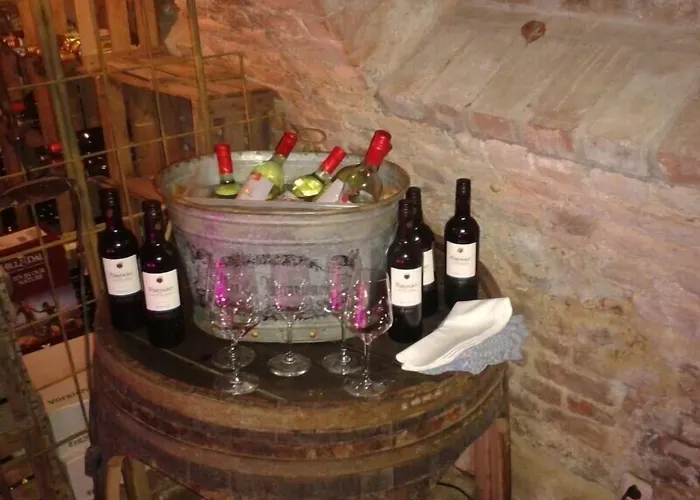 酒店 Dycker Weinhaus Jüchen