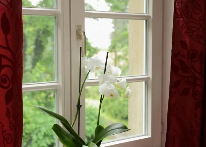 酒店 Dycker Weinhaus Jüchen